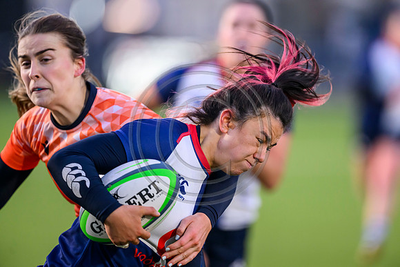 Edinburgh v Wolfhounds