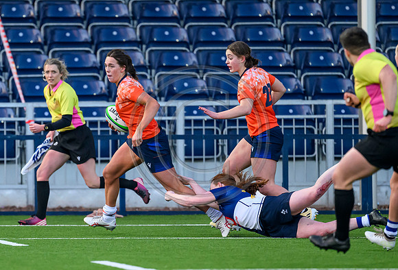 Edinburgh v Wolfhounds