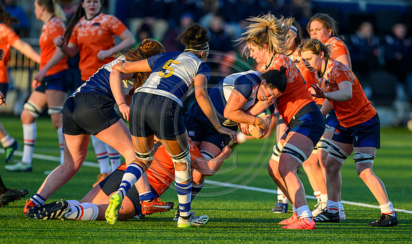 Edinburgh v Wolfhounds