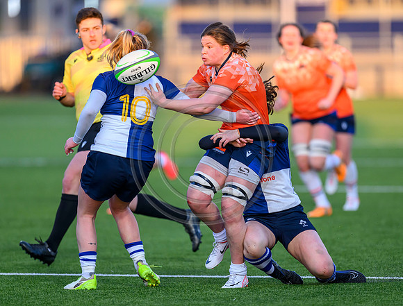 Edinburgh v Wolfhounds