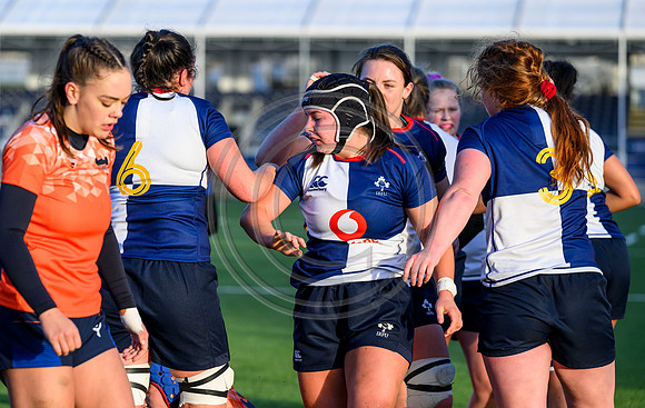 Edinburgh v Wolfhounds