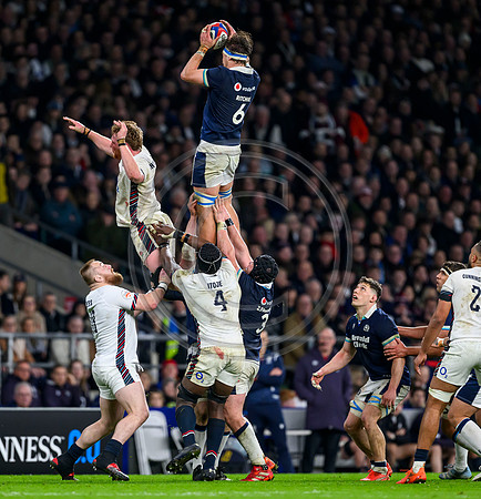 England v Scotland