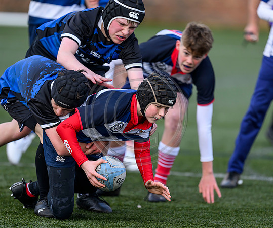 SP Energy Networks Warriors Championships Semi Final
