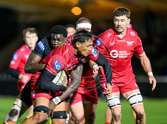 Warriors v Scarlets