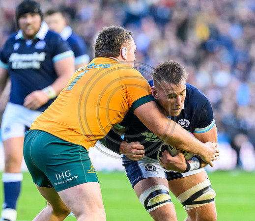 Scotland v Australia