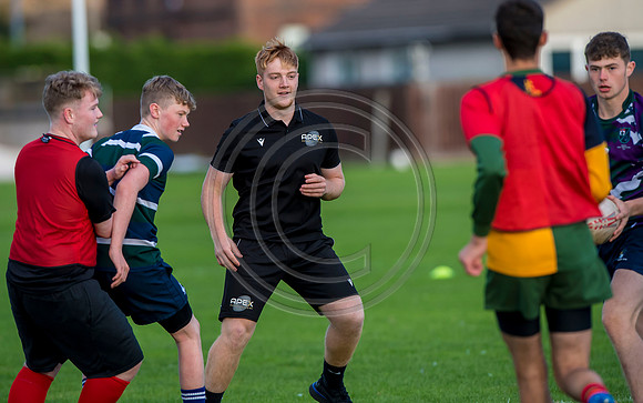 Apex Rugby Academy