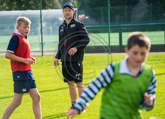 Apex Rugby Academy