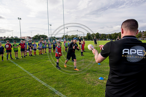 Apex Rugby Academy