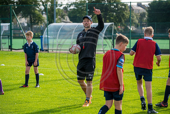 Apex Rugby Academy