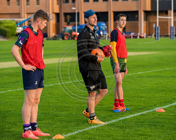 Apex Rugby Academy