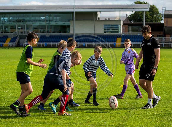 Apex Rugby Academy