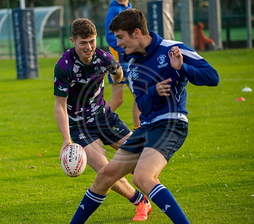 Apex Rugby Academy
