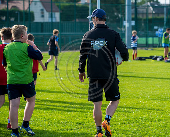 Apex Rugby Academy