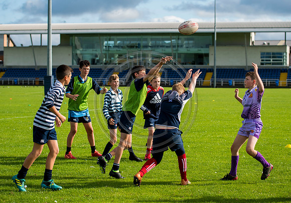 Apex Rugby Academy