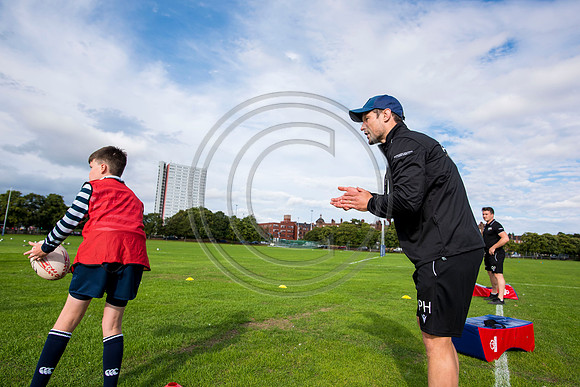 Apex Rugby Academy