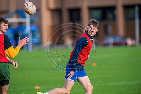 Apex Rugby Academy