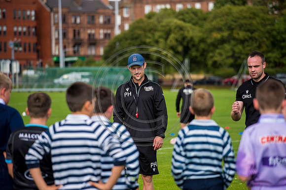 Apex Rugby Academy