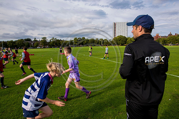 Apex Rugby Academy