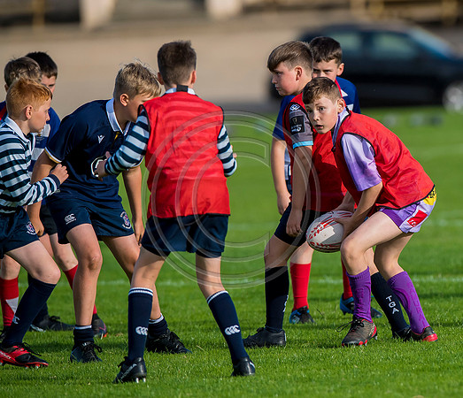 Apex Rugby Academy