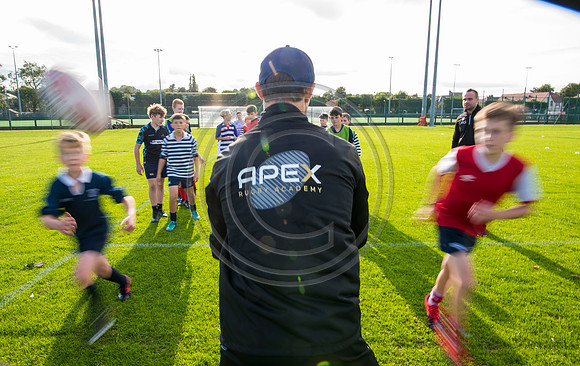Apex Rugby Academy