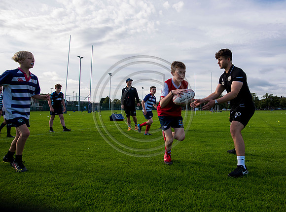 Apex Rugby Academy