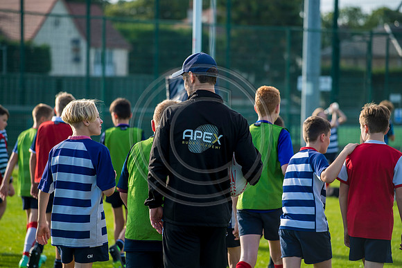 Apex Rugby Academy