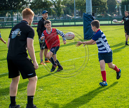 Apex Rugby Academy