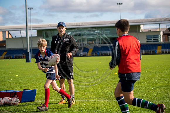 Apex Rugby Academy