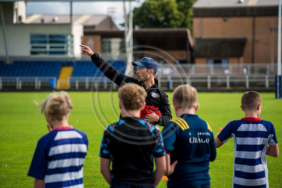 Apex Rugby Academy