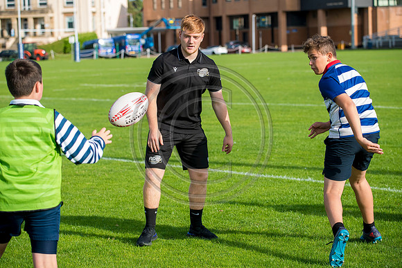 Apex Rugby Academy