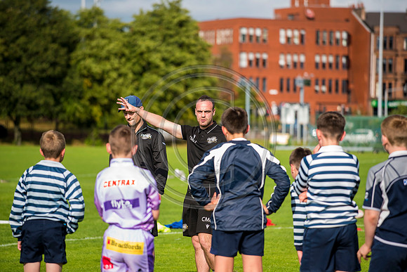 Apex Rugby Academy