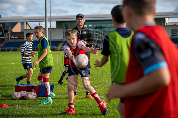 Apex Rugby Academy