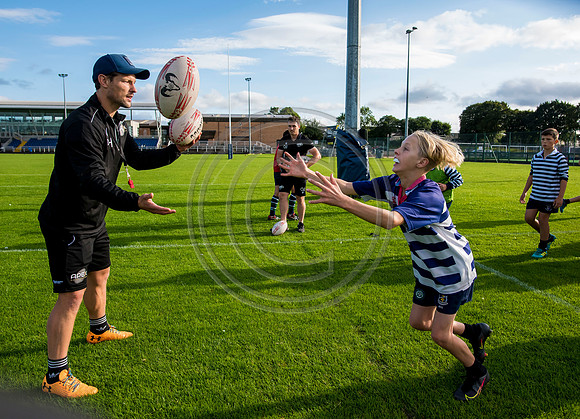 Apex Rugby Academy