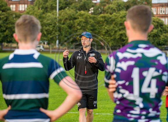 Apex Rugby Academy