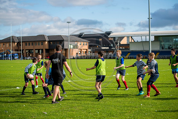 Apex Rugby Academy