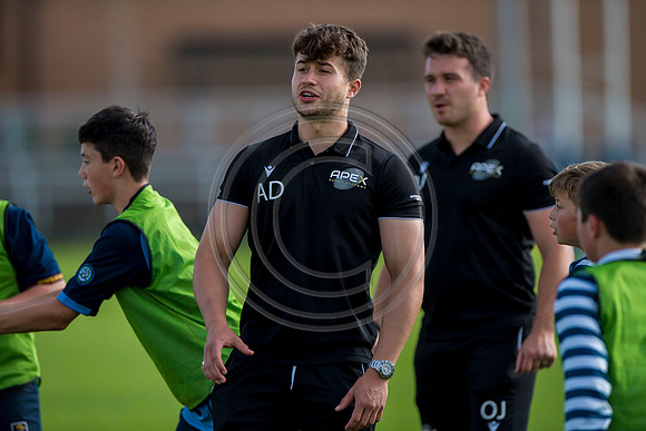 Apex Rugby Academy