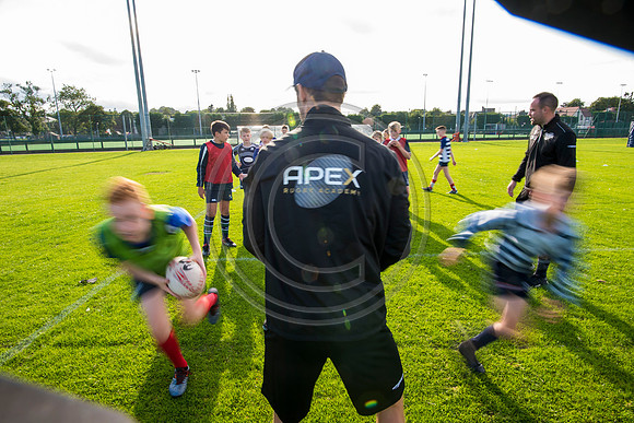 Apex Rugby Academy