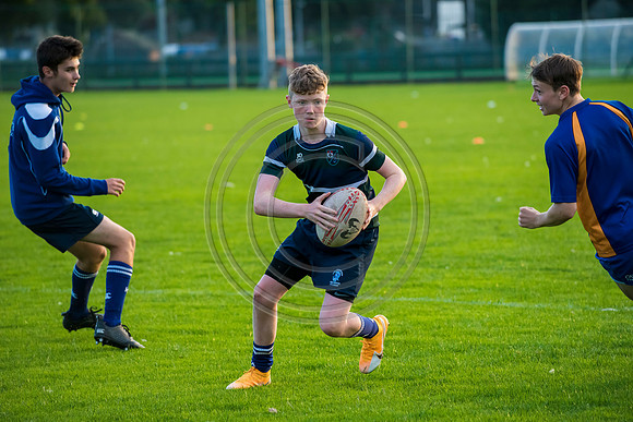 Apex Rugby Academy
