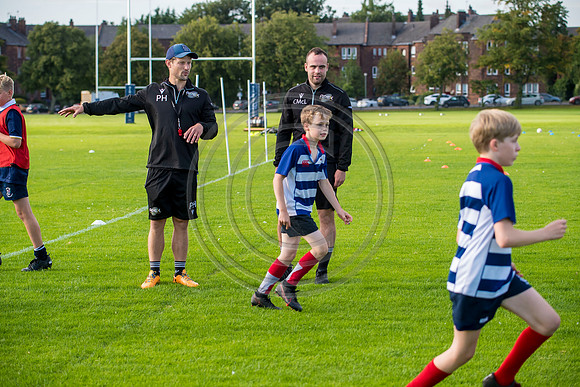 Apex Rugby Academy