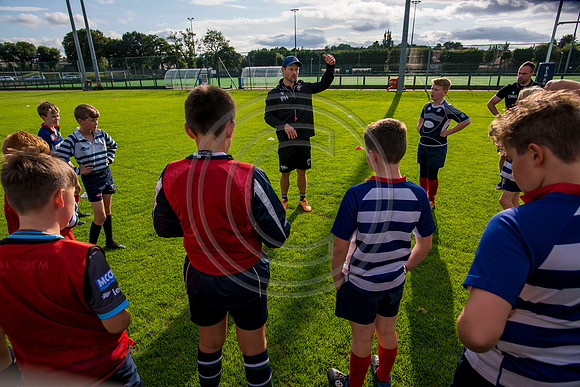 Apex Rugby Academy