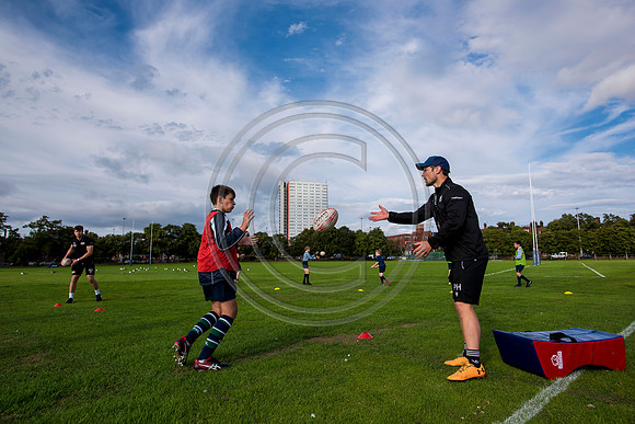 Apex Rugby Academy