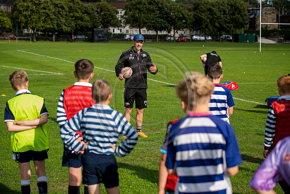 Apex Rugby Academy
