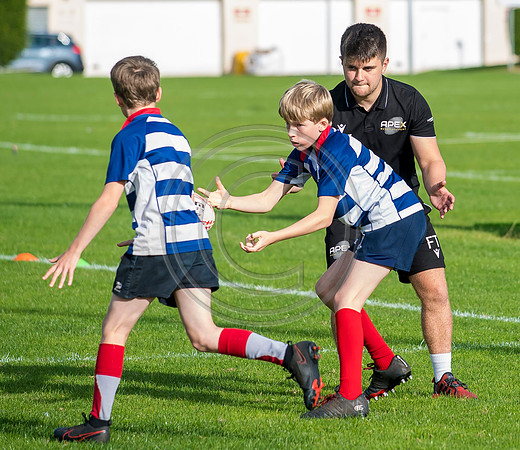 Apex Rugby Academy