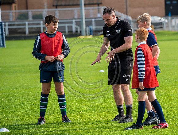 Apex Rugby Academy