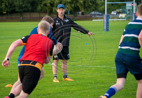 Apex Rugby Academy