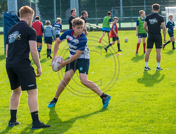 Apex Rugby Academy