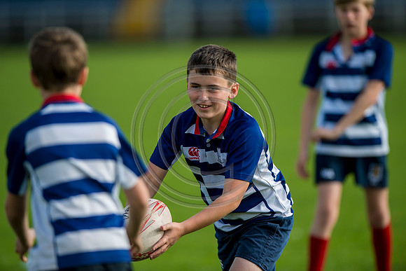 Apex Rugby Academy