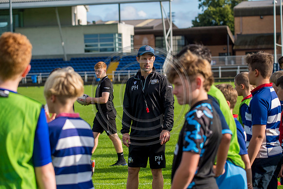 Apex Rugby Academy