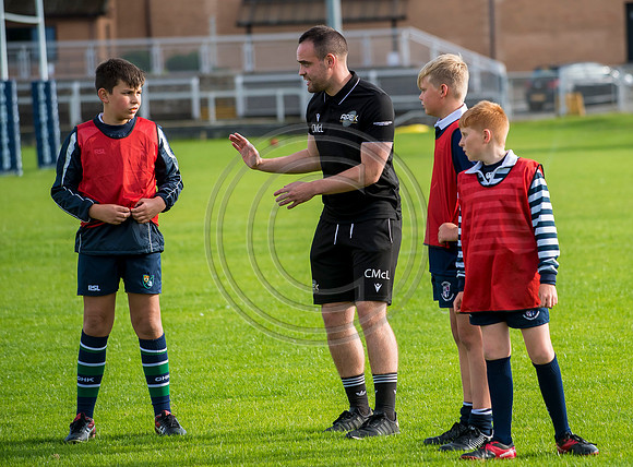 Apex Rugby Academy