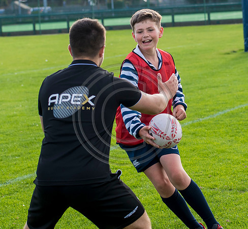 Apex Rugby Academy